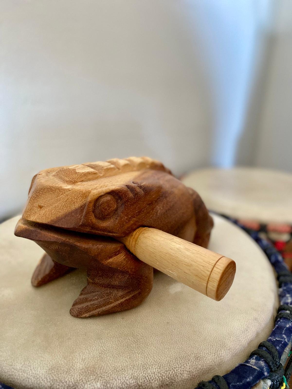 Ein Holzfrosch sitzt auf einer Djembe